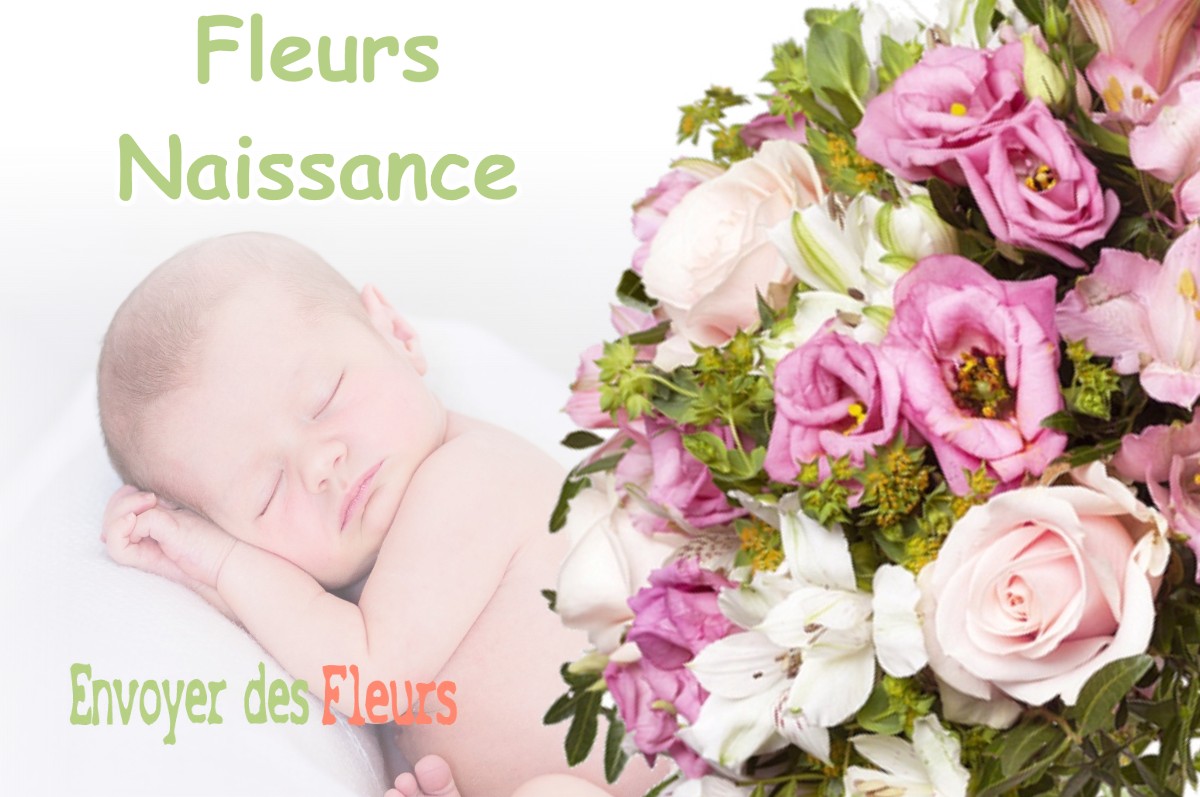 lIVRAISON FLEURS NAISSANCE à MONTCLAR-LAURAGAIS